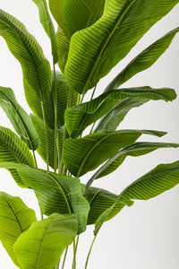 Yapay Muz Ağacı 220 Cm 20 Yaprak Balon Saksı