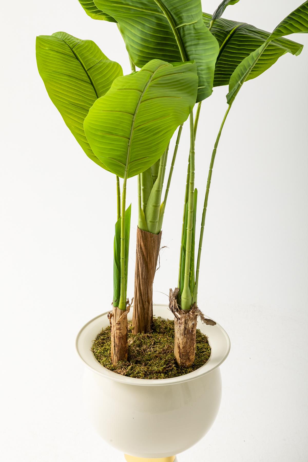 Yapay Muz Ağacı 220 Cm 20 Yaprak Balon Saksı