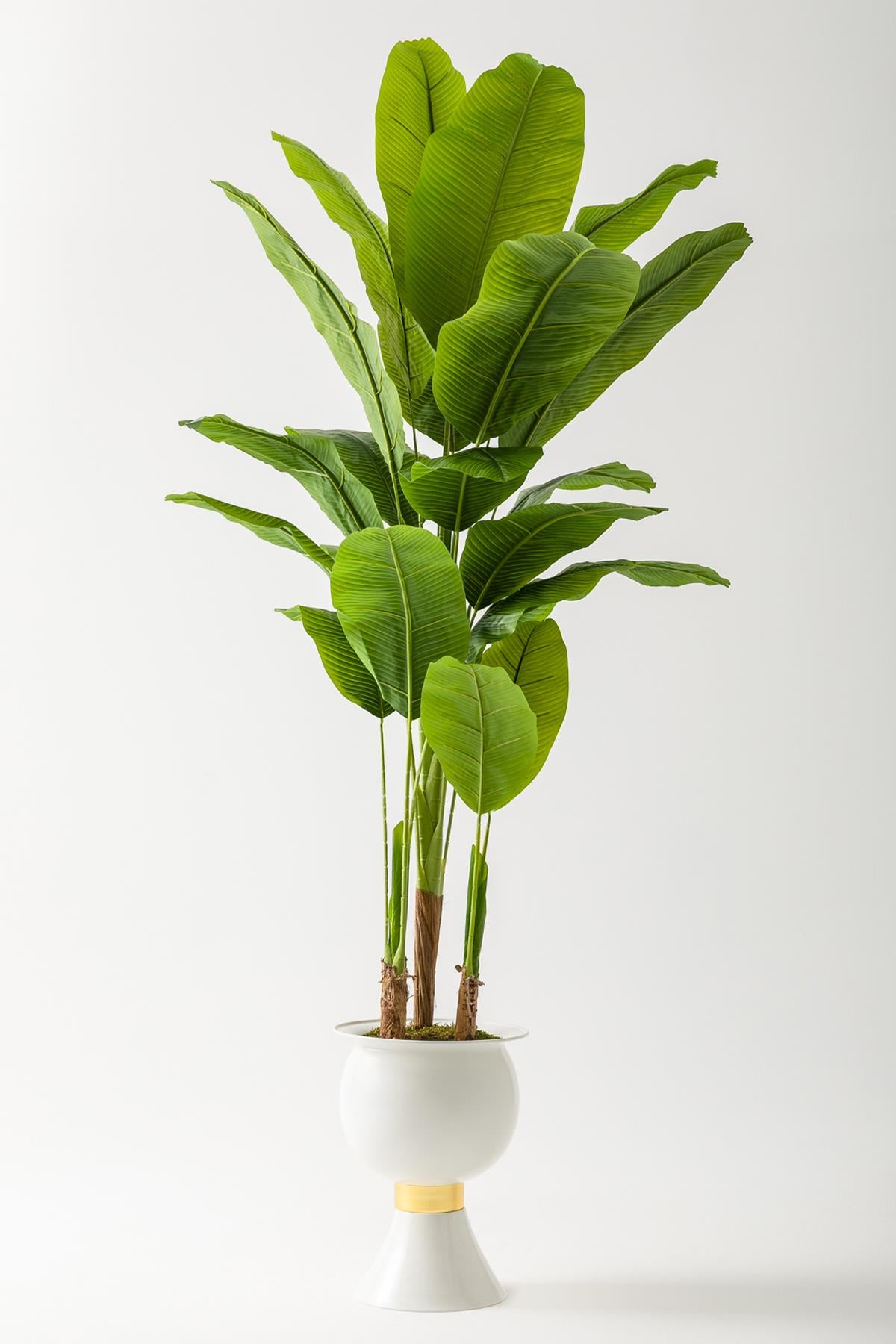 Yapay Muz Ağacı 220 Cm 20 Yaprak Balon Saksı