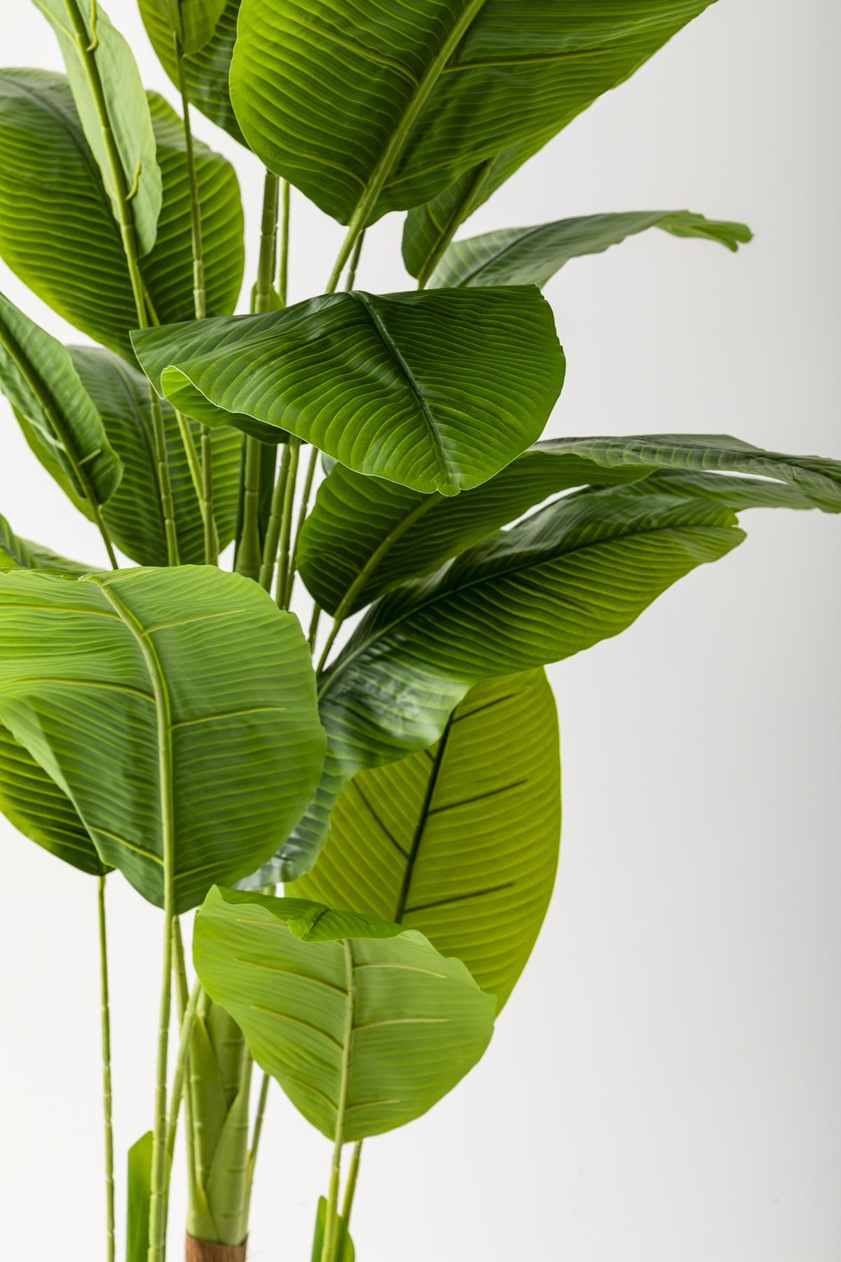 Yapay Muz Ağacı 220 Cm 20 Yaprak Balon Saksı