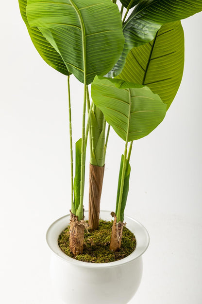 Yapay Muz Ağacı 220 Cm 20 Yaprak Balon Saksı