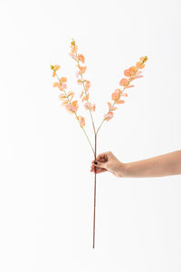 Yapay Okaliptus Dalı 80 Cm 3 Dal