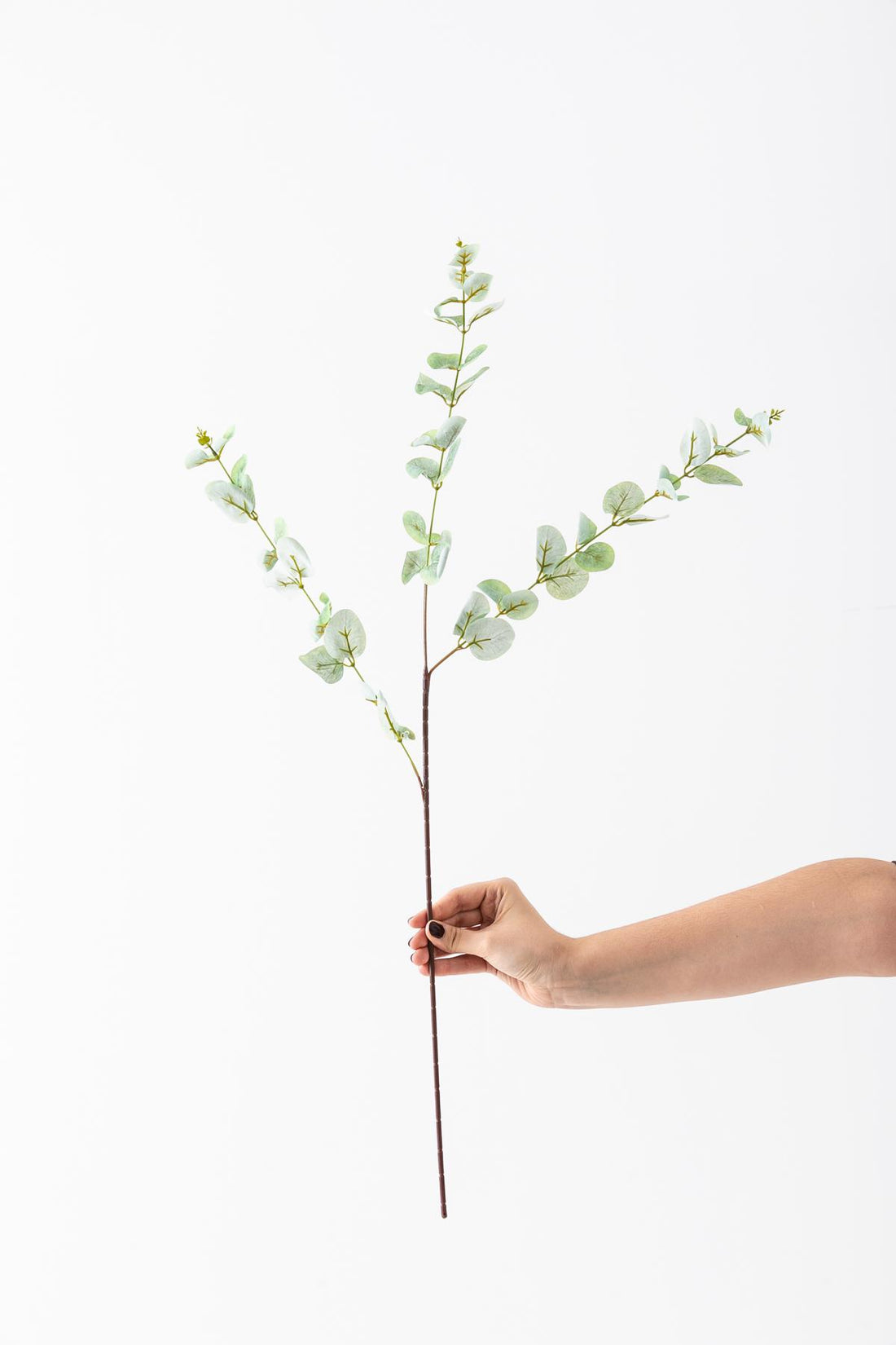 Yapay Okaliptus Dalı 80 Cm 3 Dal