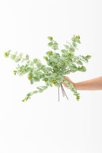 Yapay Okaliptus Dalı 80 Cm 3 Dal