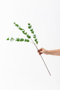 Yapay Okaliptus Dalı 80 Cm 3 Dal