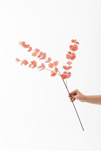 Yapay Okaliptus Dalı 80 Cm 3 Dal