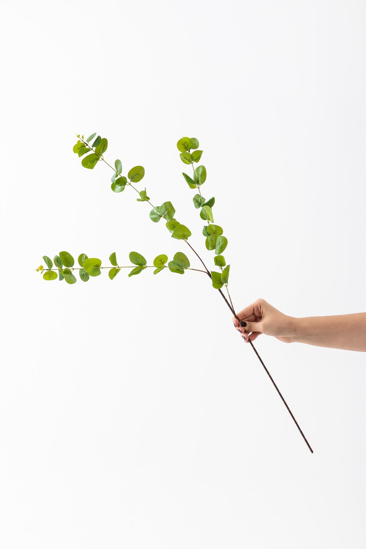 Yapay Okaliptus Dalı 80 Cm 3 Dal