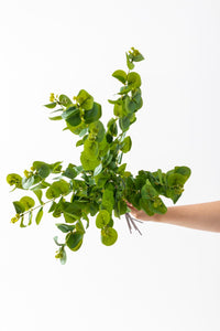 Yapay Okaliptus Dalı 80 Cm 3 Dal