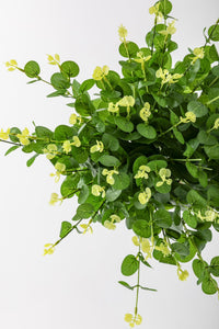 Yapay Okaliptus Demeti 50 Cm 4 Dal