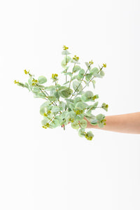 Yapay Okaliptus Demeti 50 Cm 4 Dal