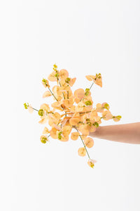 Yapay Okaliptus Demeti 50 Cm 4 Dal