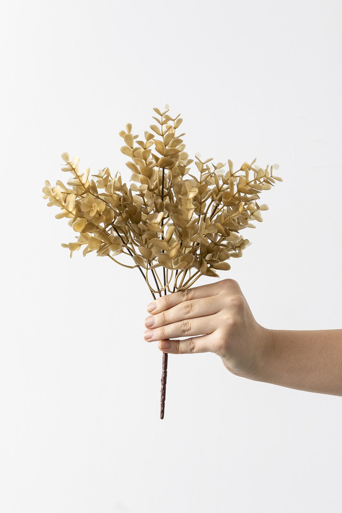 Yapay Okaliptus Demeti Büyük Yapraklı Gold 30 Cm 5 Dal(Uv)