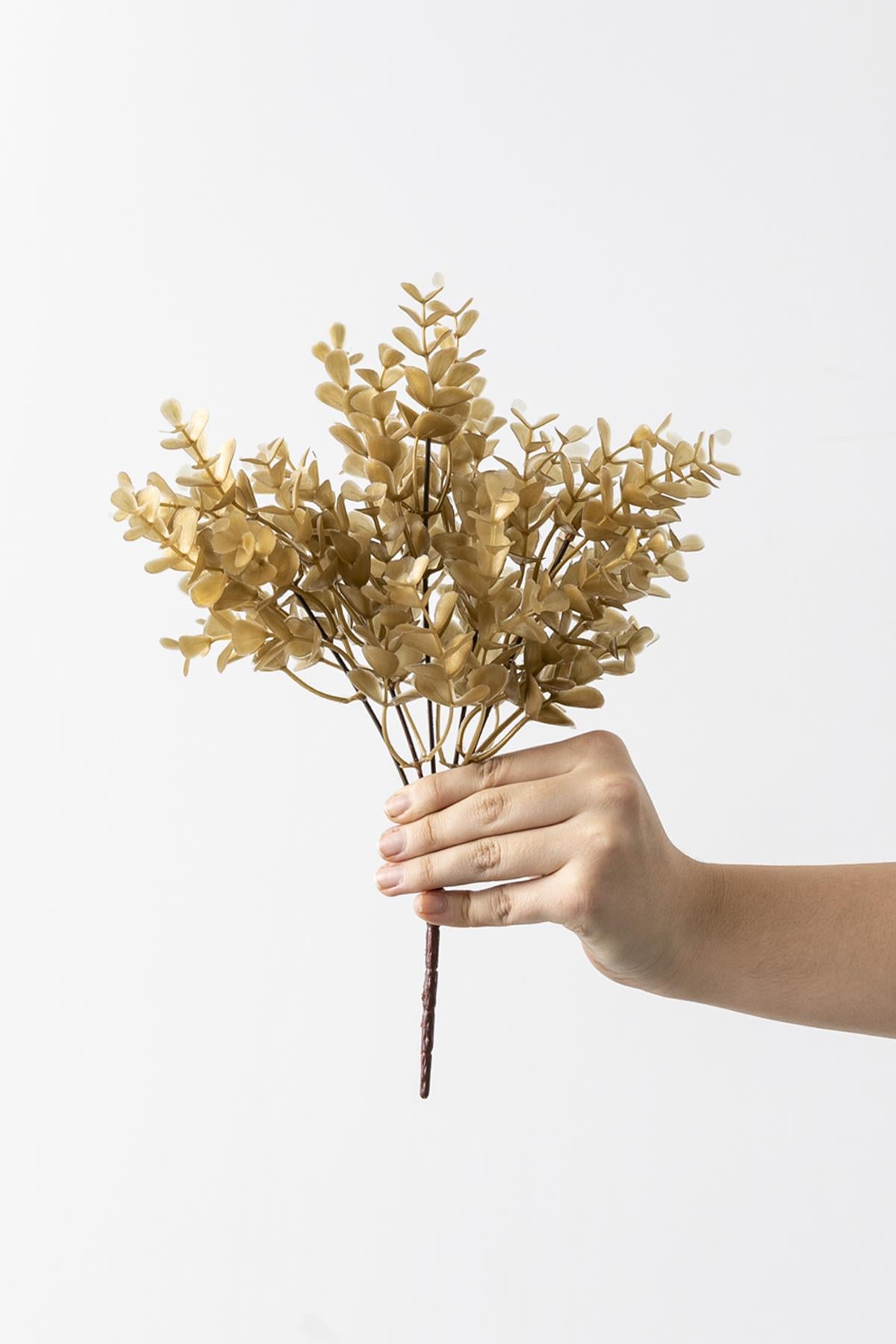 Yapay Okaliptus Demeti Büyük Yapraklı Gold 30 Cm 5 Dal(Uv)