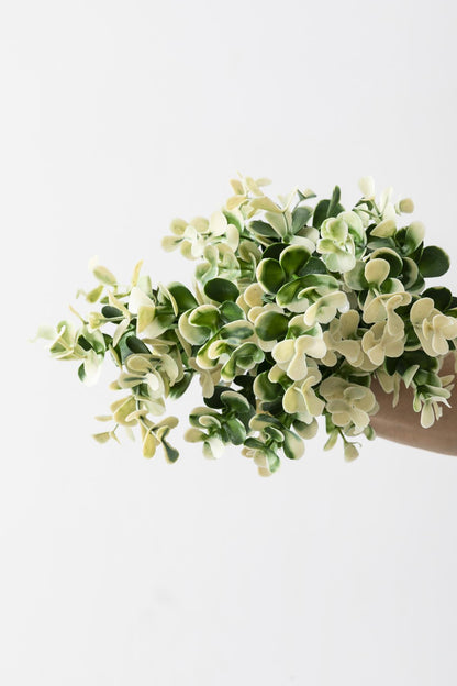 Yapay Okaliptus Demeti Büyük Yapraklı Yeşil Beyaz 30 Cm 5 Dal(Uv)