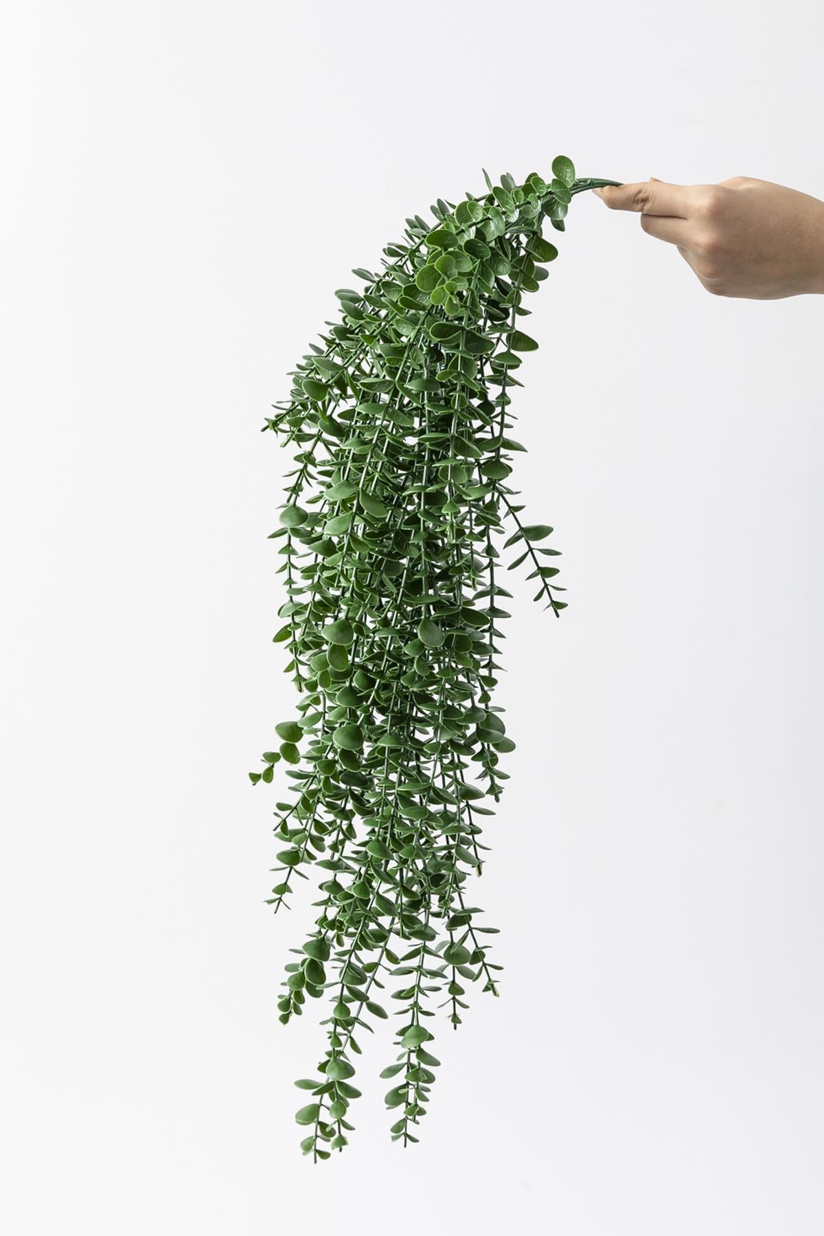 Yapay Okaliptus Sarmaşık Uv Korumalı Koyu Yeşil 90 Cm 5 Dal