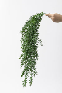 Yapay Okaliptus Sarmaşık Uv Korumalı Koyu Yeşil 90 Cm 5 Dal