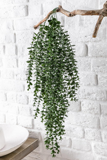 Yapay Okaliptus Sarmaşık Uv Korumalı Koyu Yeşil 90 Cm 5 Dal