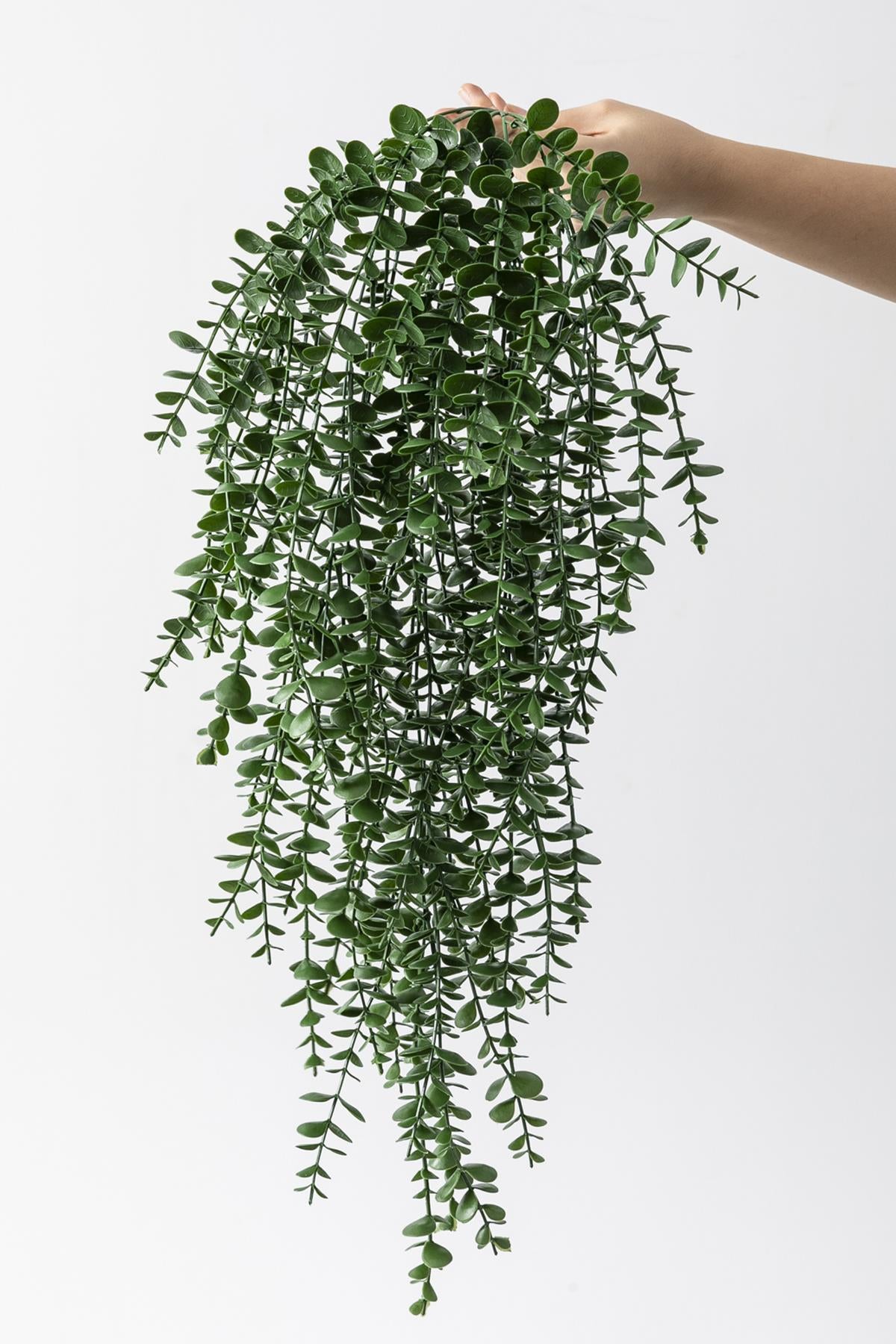 Yapay Okaliptus Sarmaşık Uv Korumalı Koyu Yeşil 90 Cm 5 Dal