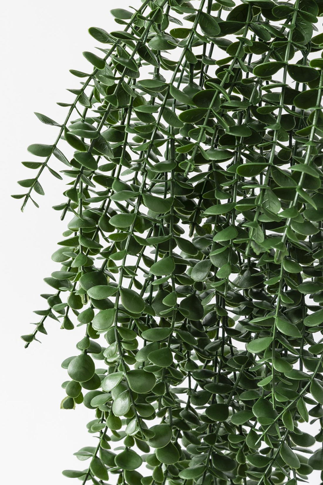 Yapay Okaliptus Sarmaşık Uv Korumalı Koyu Yeşil 90 Cm 5 Dal