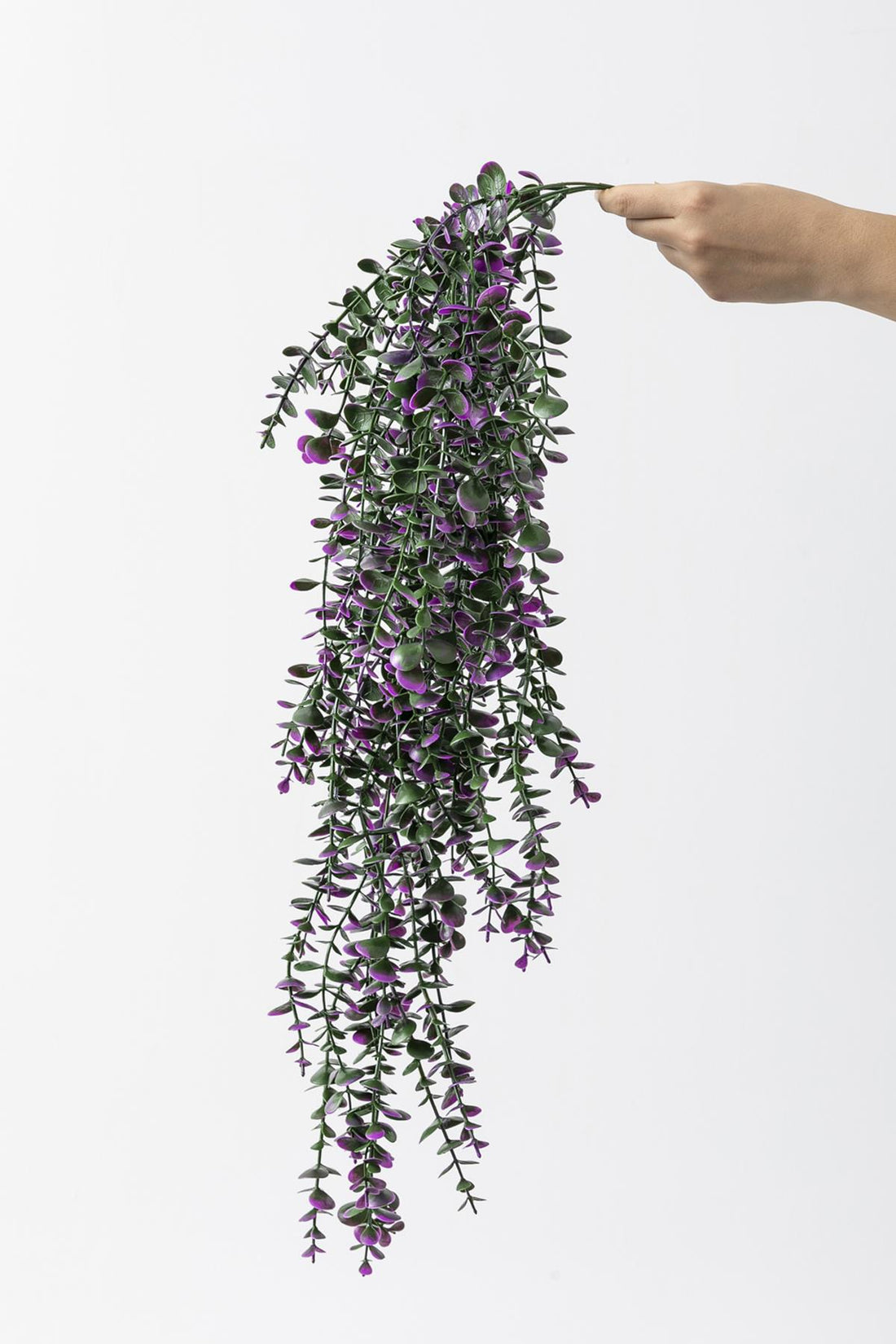 Yapay Okaliptus Sarmaşık Uv Korumalı Mor 90 Cm 5 Dal