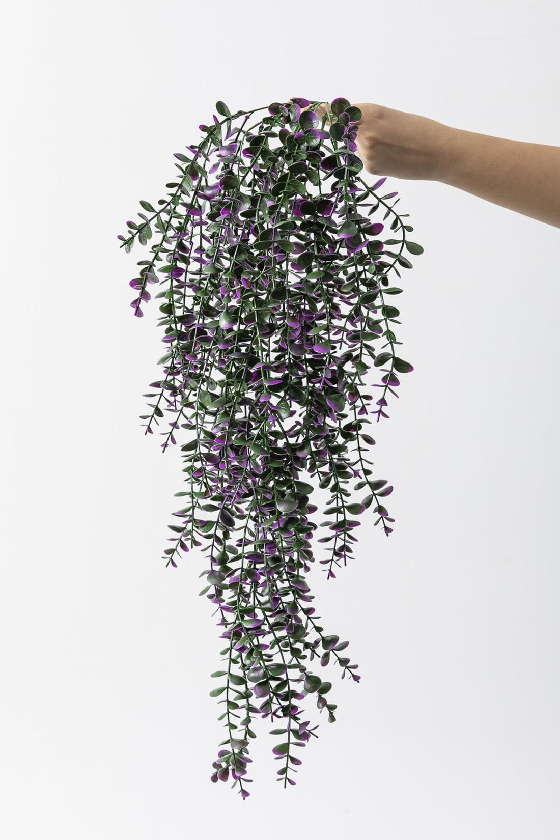 Yapay Okaliptus Sarmaşık Uv Korumalı Mor 90 Cm 5 Dal