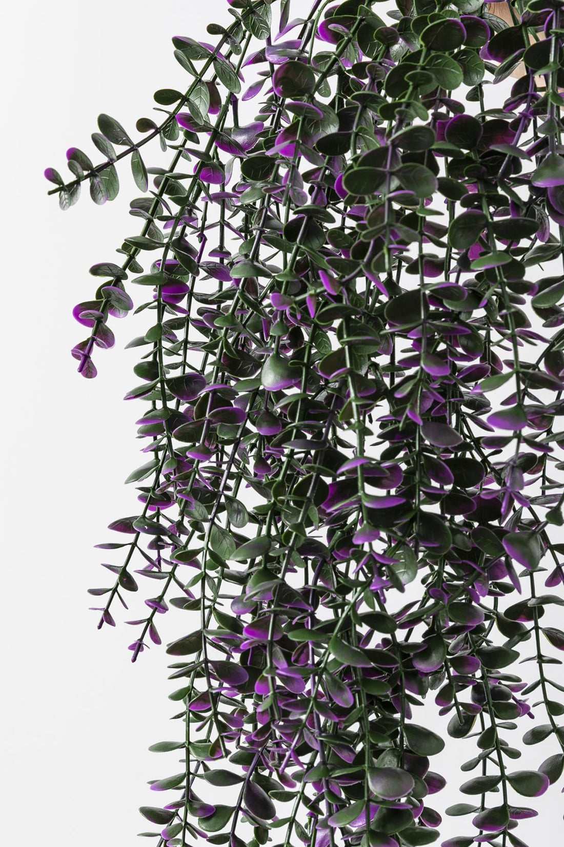 Yapay Okaliptus Sarmaşık Uv Korumalı Mor 90 Cm 5 Dal