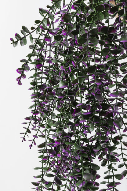 Yapay Okaliptus Sarmaşık Uv Korumalı Mor 90 Cm 5 Dal