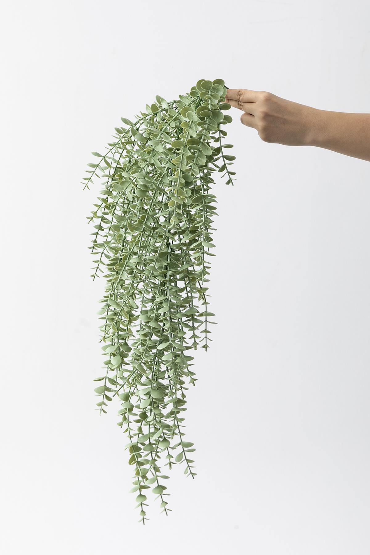 Yapay Okaliptus Sarmaşık Uv Korumalı Pastel Yeşil 90 Cm 5 Dal