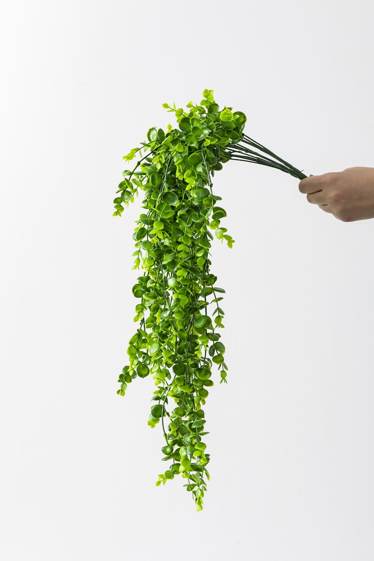 Yapay Okaliptus Sarmaşık (Uv) Korumalı Açık Yeşil 70 Cm 5 Dal (Uv)