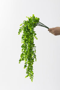 Yapay Okaliptus Sarmaşık (Uv) Korumalı Açık Yeşil 70 Cm 5 Dal (Uv)