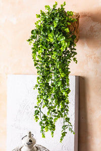 Yapay Okaliptus Sarmaşık (Uv) Korumalı Açık Yeşil 70 Cm 5 Dal (Uv)