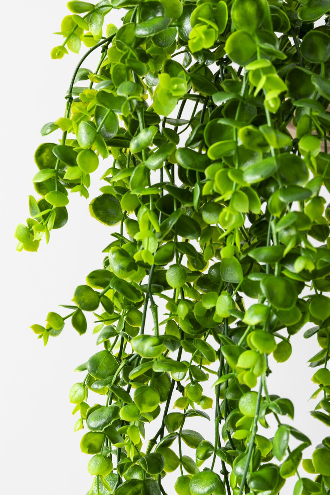 Yapay Okaliptus Sarmaşık Uv Korumalı Açık Yeşil 70 Cm 5 Dal