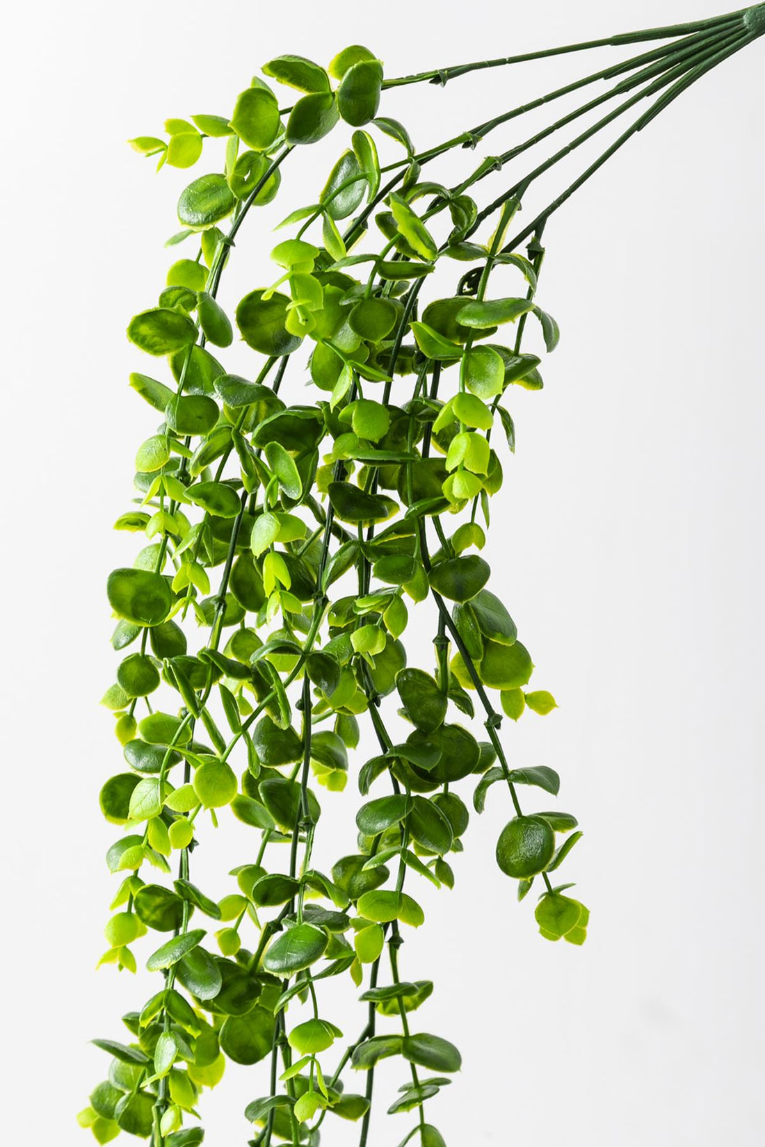 Yapay Okaliptus Sarmaşık Uv Korumalı Açık Yeşil 70 Cm 5 Dal