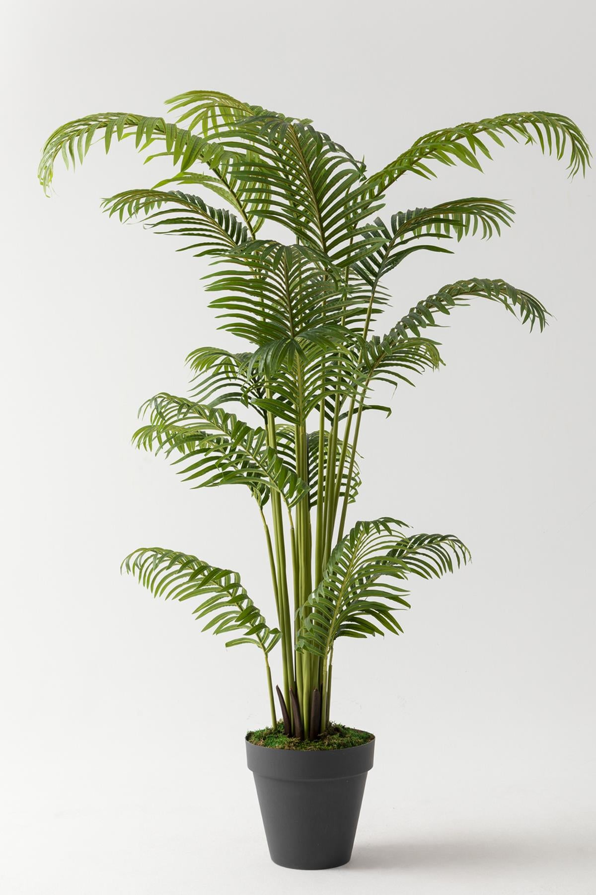 Yapay Palmiye Ağacı 180 Cm (Saksısız)