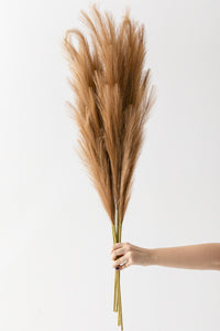 Yapay Pampas 100 Cm Tek Dal Kahverengi 5'li