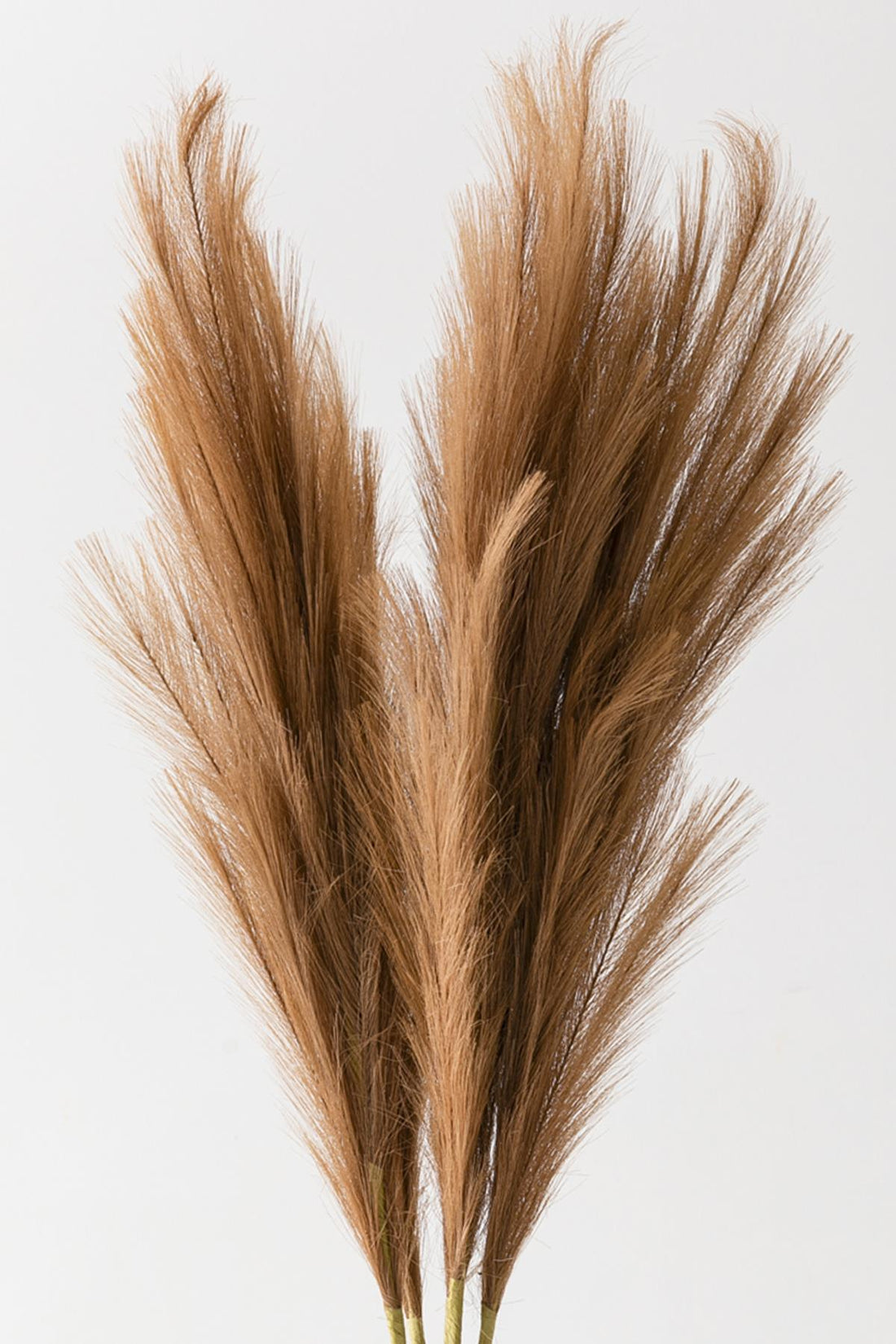 Yapay Pampas 100 Cm Tek Dal Kahverengi 5&