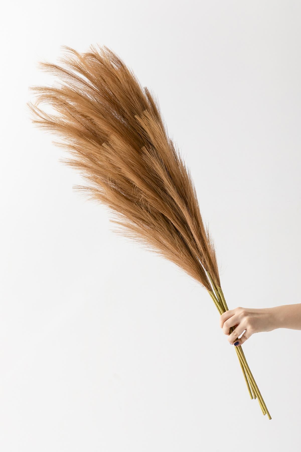 Yapay Pampas 100 Cm Tek Dal Kahverengi 5&