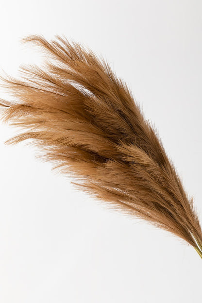 Yapay Pampas 100 Cm Tek Dal Kahverengi 5&