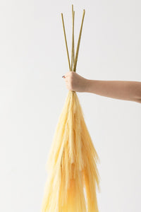 Yapay Pampas 100 Cm Tek Dal Sarı 5'li