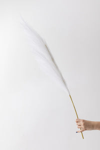 Yapay Pampas Çiçeği 100 Cm Tek Dal Beyaz