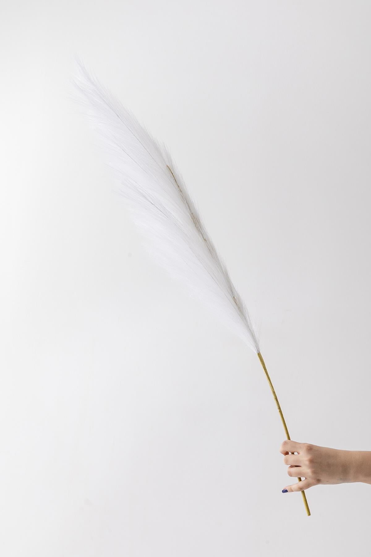 Yapay Pampas Çiçeği 100 Cm Tek Dal Beyaz