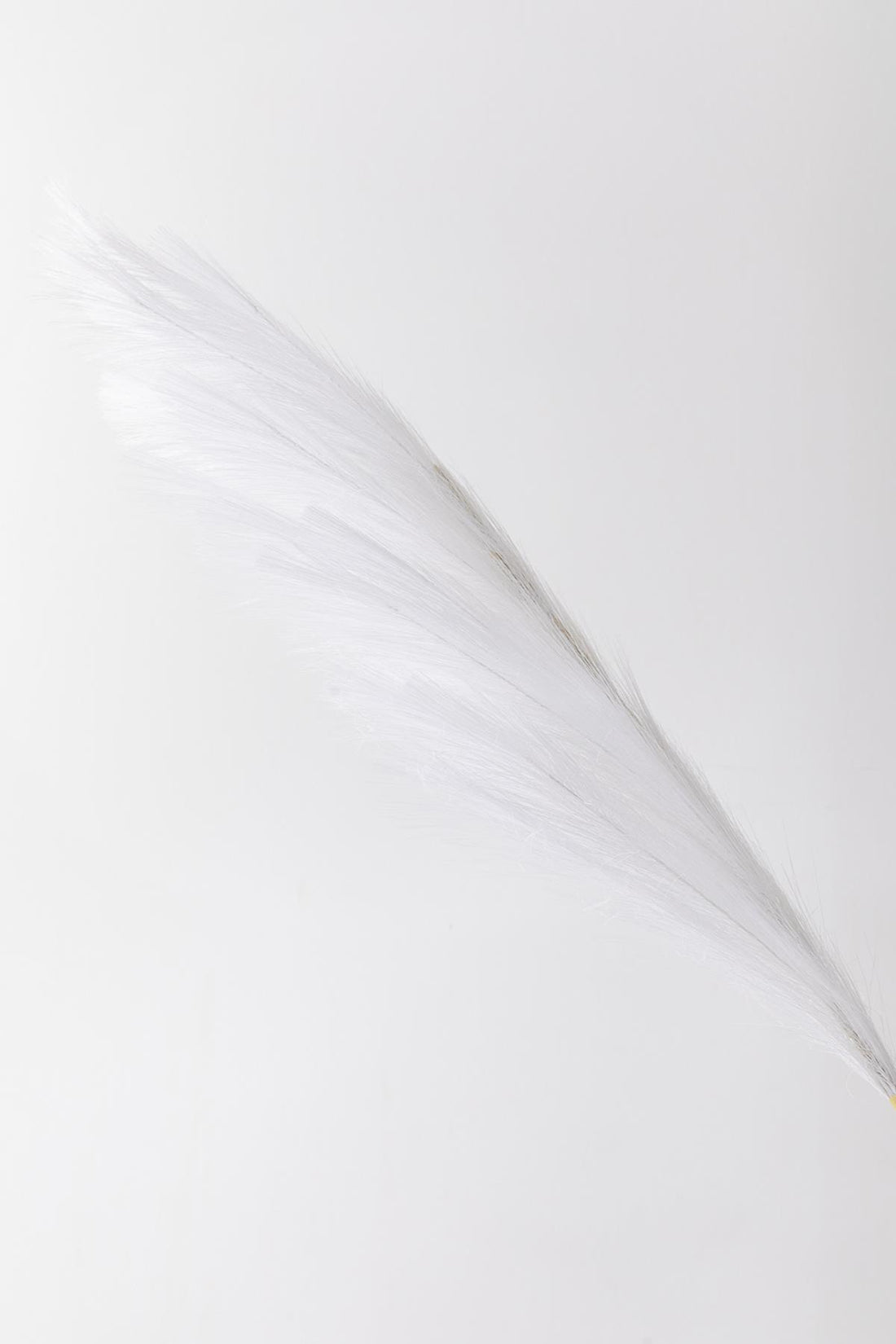 Yapay Pampas Çiçeği 100 Cm Tek Dal Beyaz