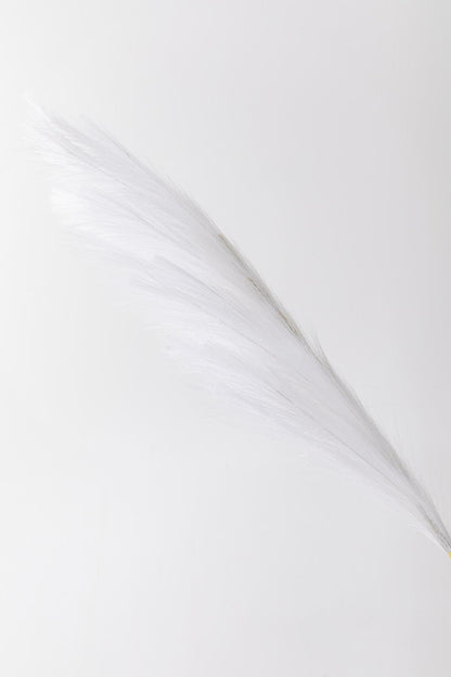 Yapay Pampas Çiçeği 100 Cm Tek Dal Beyaz