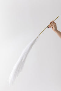 Yapay Pampas Çiçeği 100 Cm Tek Dal Beyaz