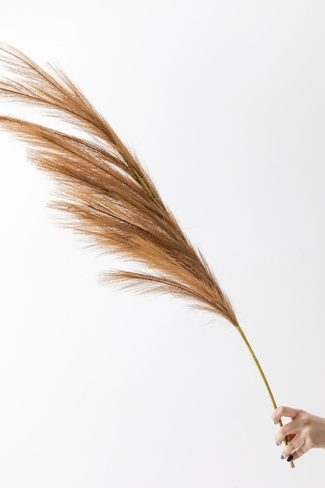 Yapay Pampas Çiçeği 100 Cm Tek Dal Kahverengi