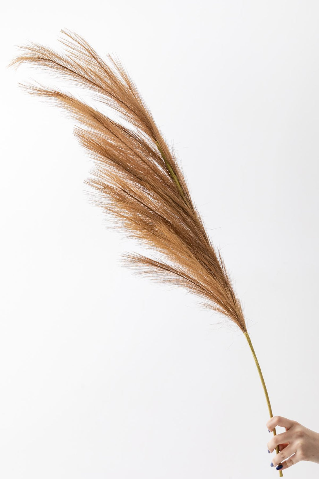 Yapay Pampas Çiçeği 100 Cm Tek Dal Kahverengi