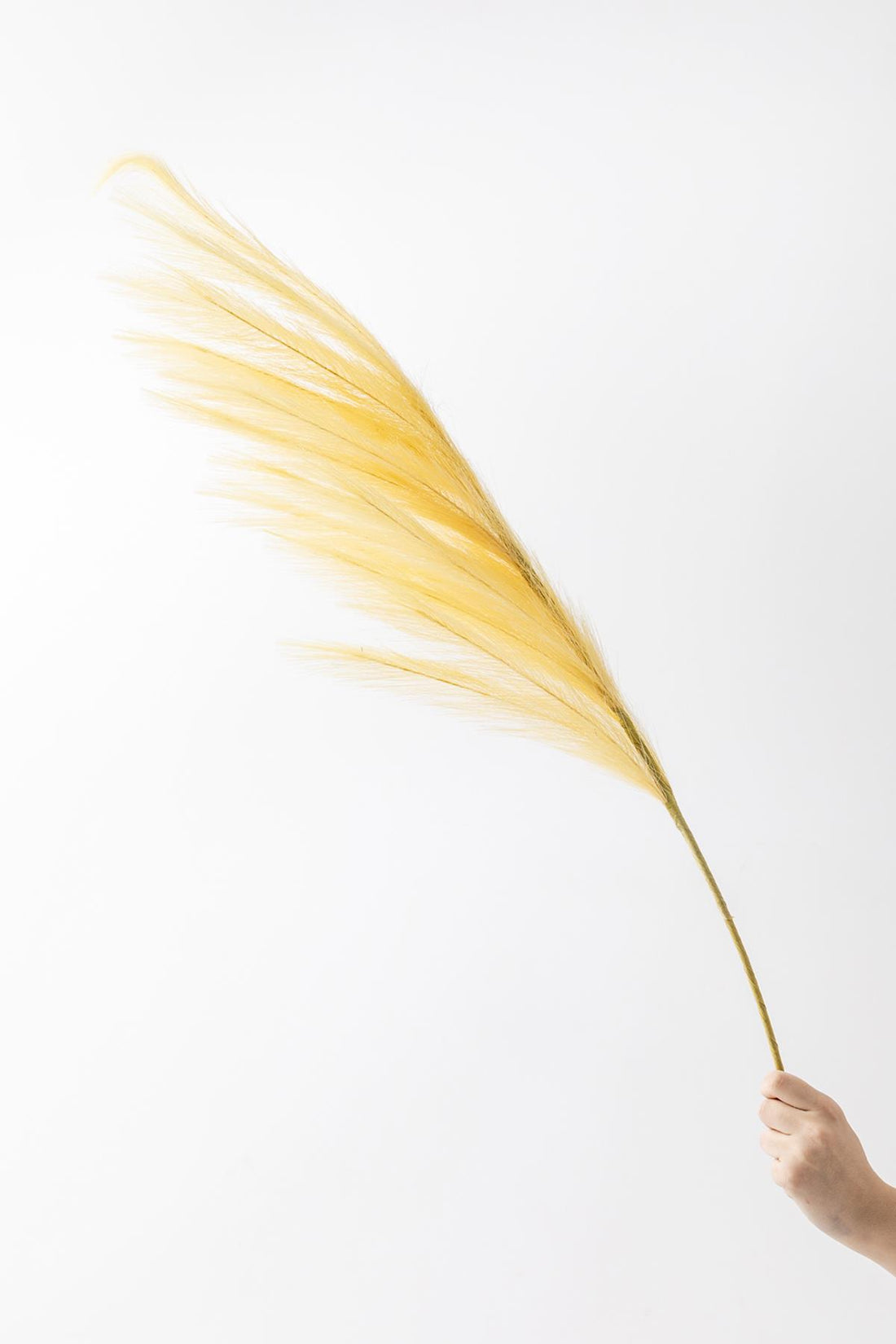 Yapay Pampas Çiçeği 100 Cm Tek Dal Sarı