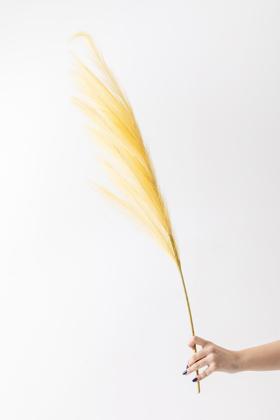 Yapay Pampas Çiçeği 100 Cm Tek Dal Sarı