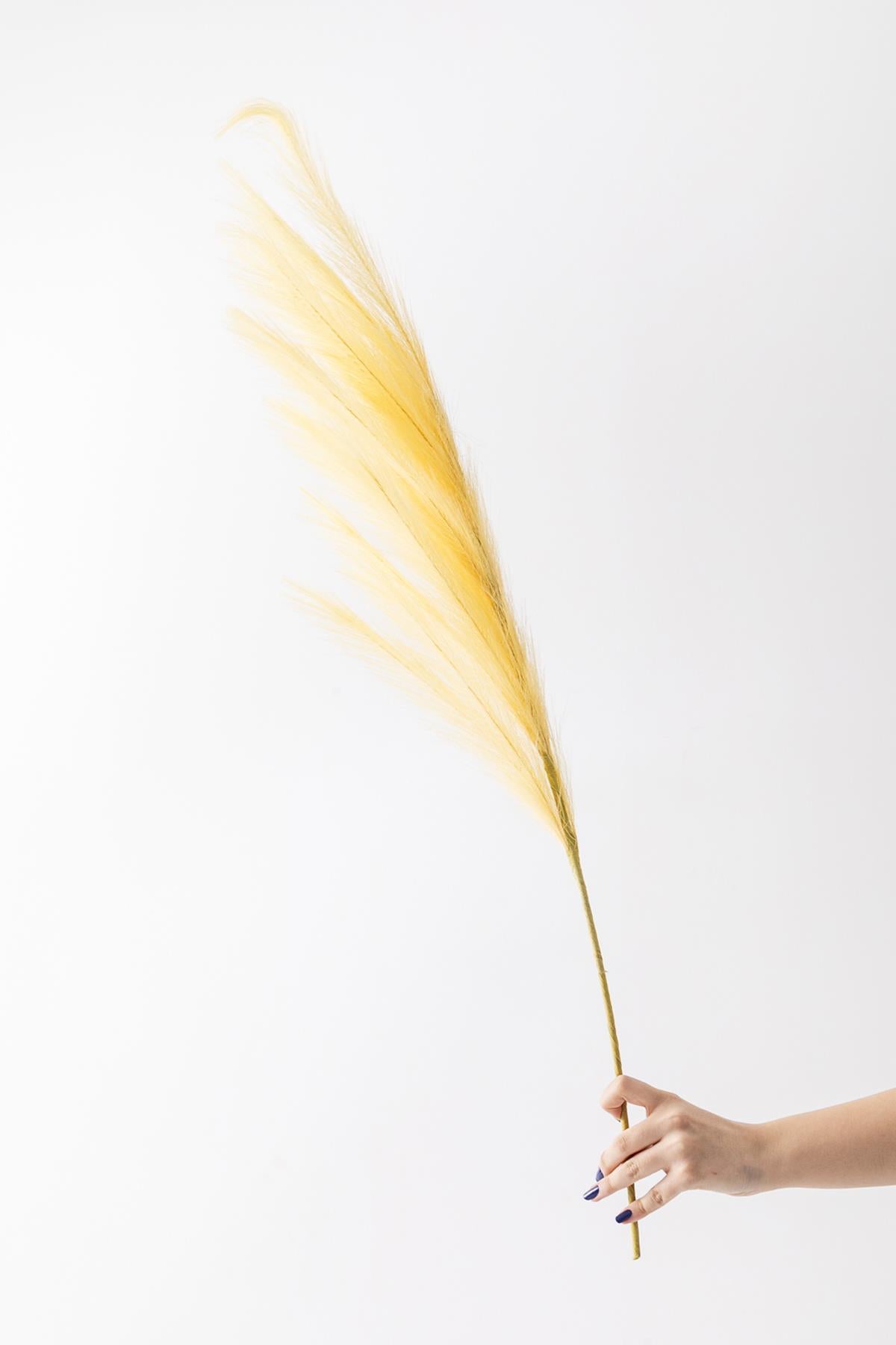 Yapay Pampas Çiçeği 100 Cm Tek Dal Sarı