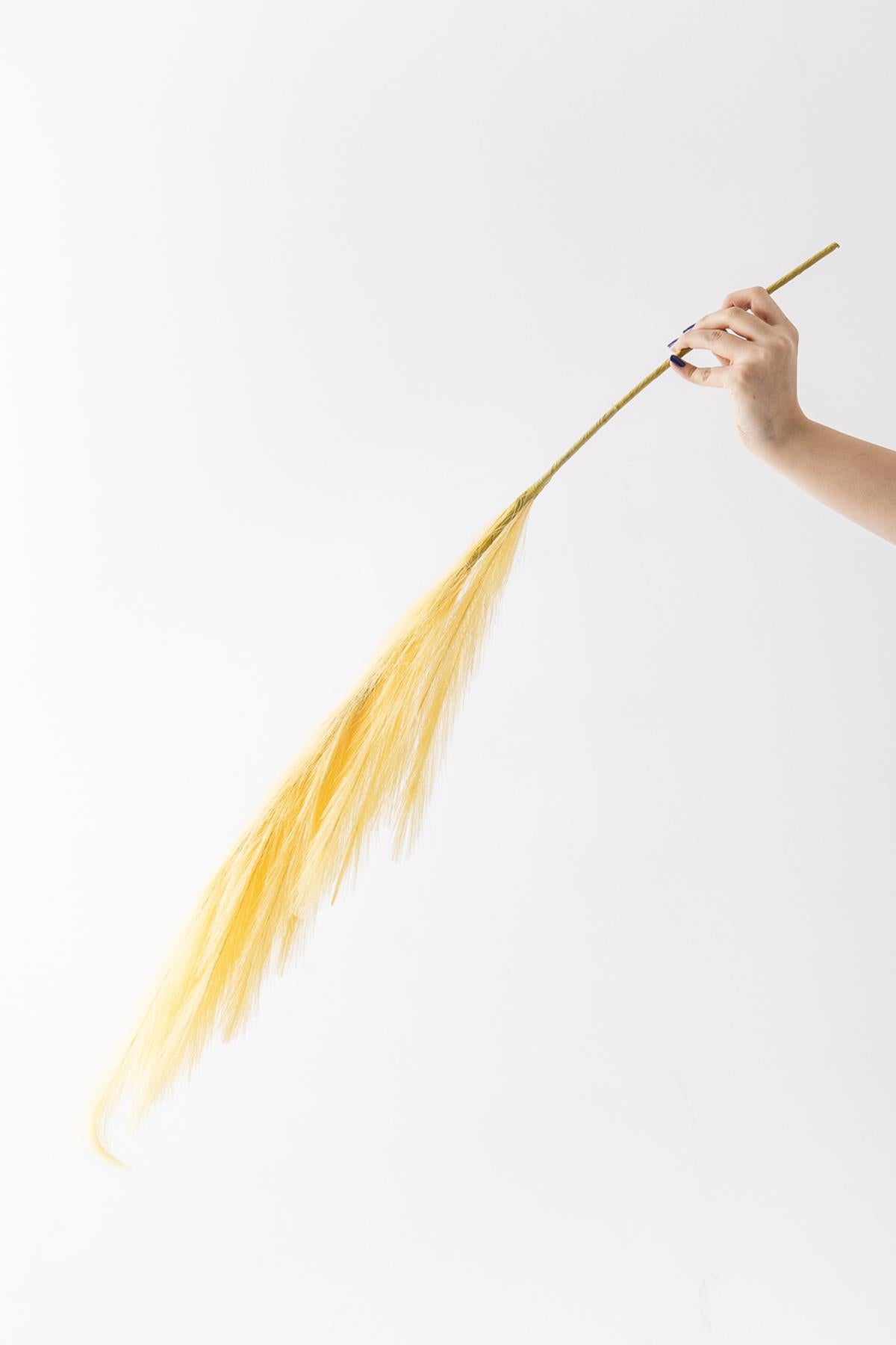 Yapay Pampas Çiçeği 100 Cm Tek Dal Sarı